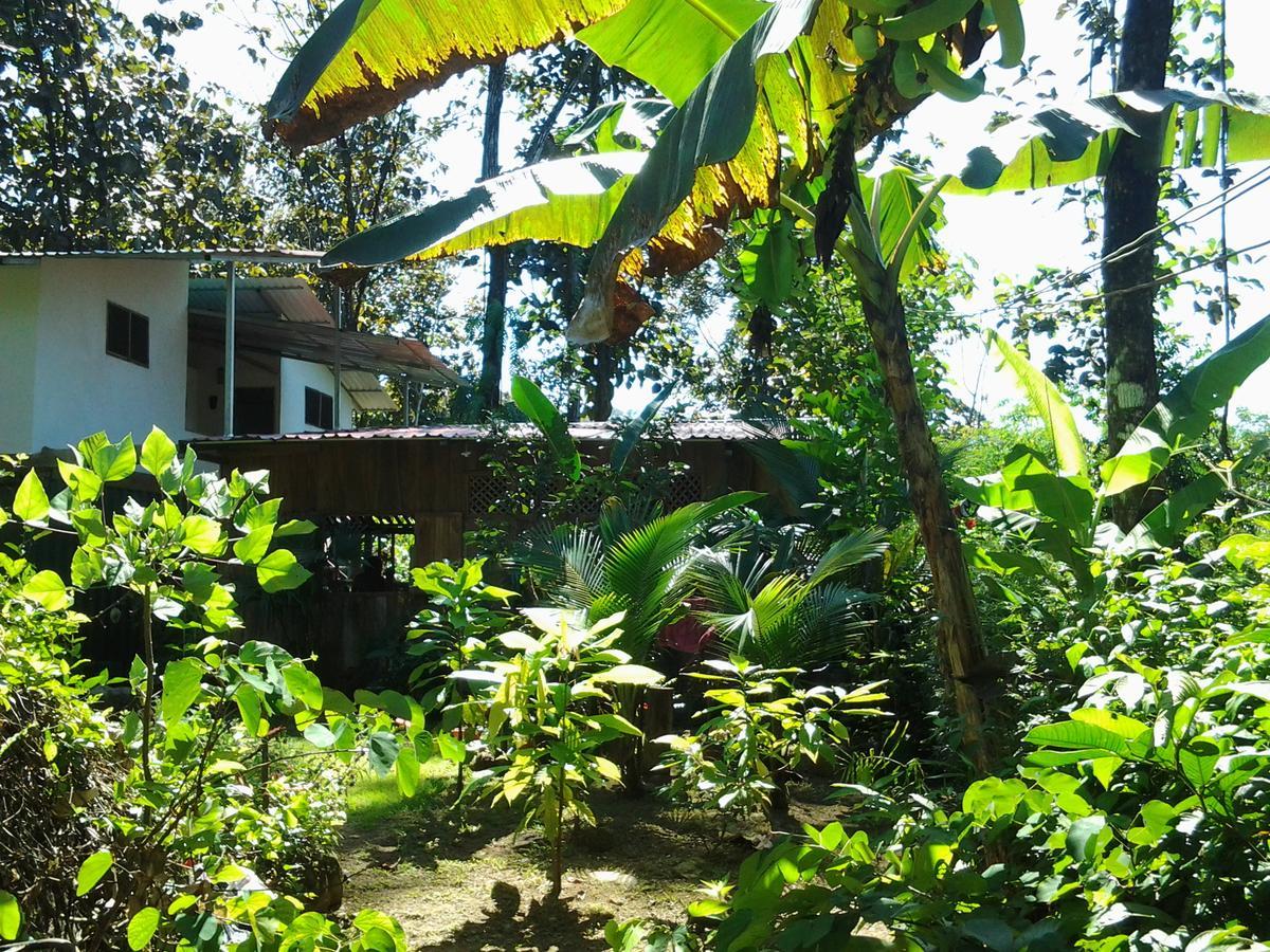 Osa De Rio Hotel Uvita Exterior foto